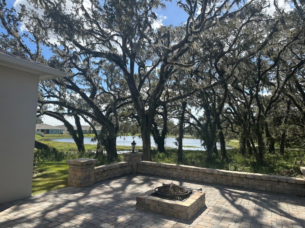 10931 Fallon Haze Cir San Antonio FL 33576 TB8453486 image26