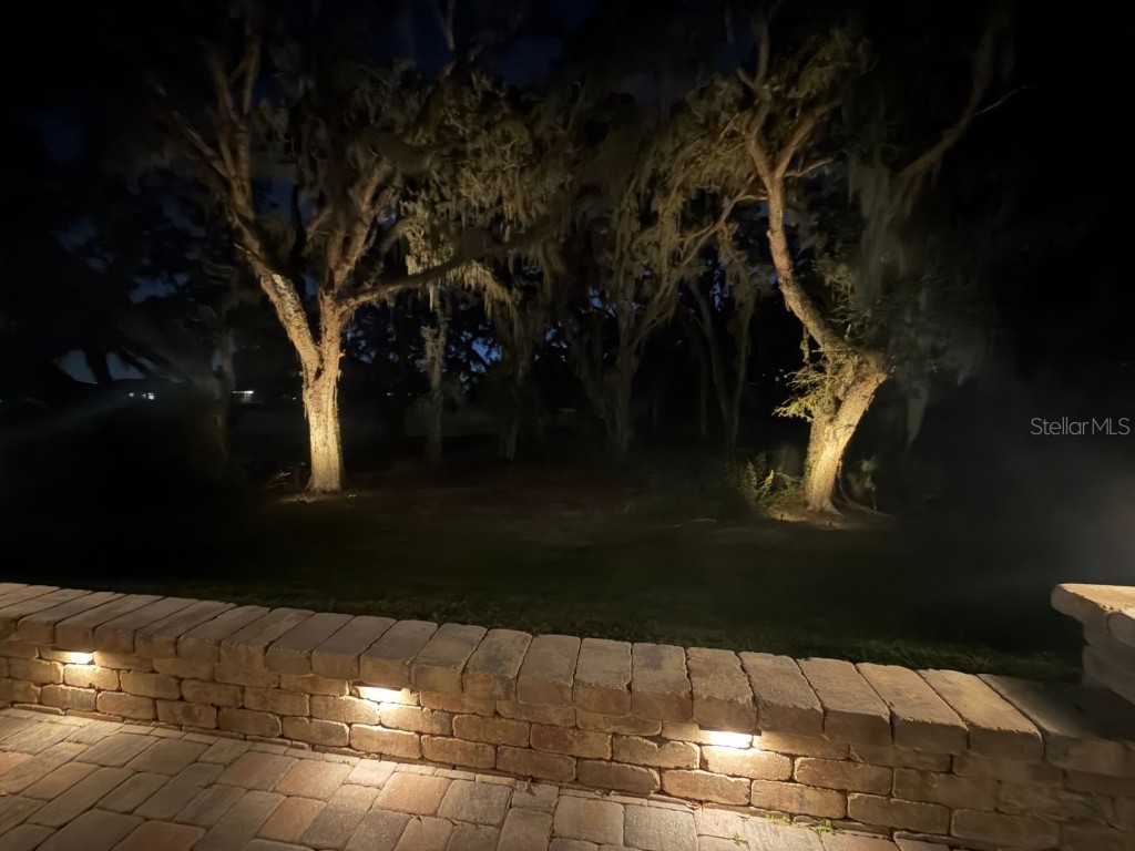 10931 Fallon Haze Cir San Antonio FL 33576 TB8453486 image28