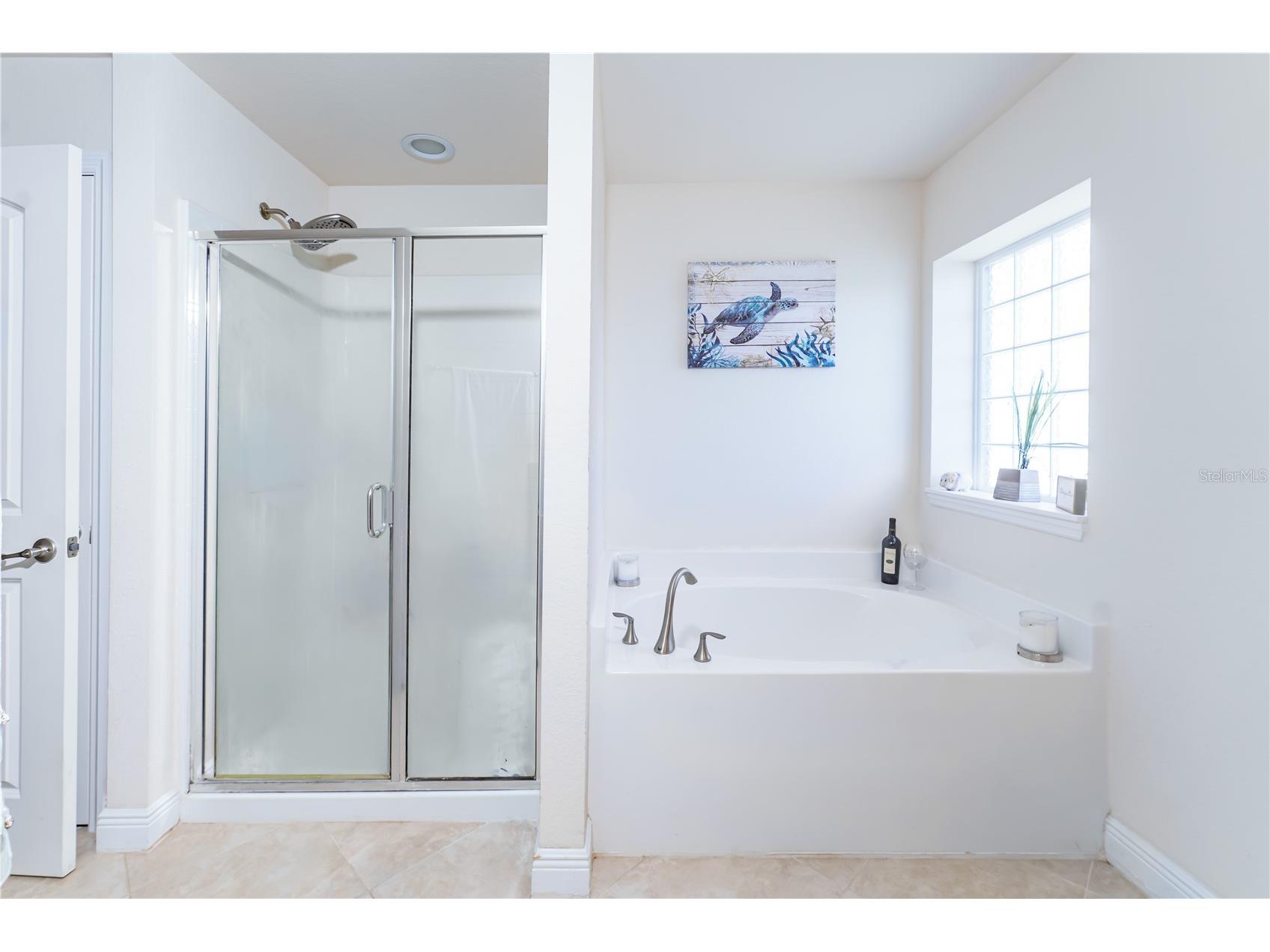 10931 Standing Stone Drive Wimauma FL 33598 TB8491623 image20