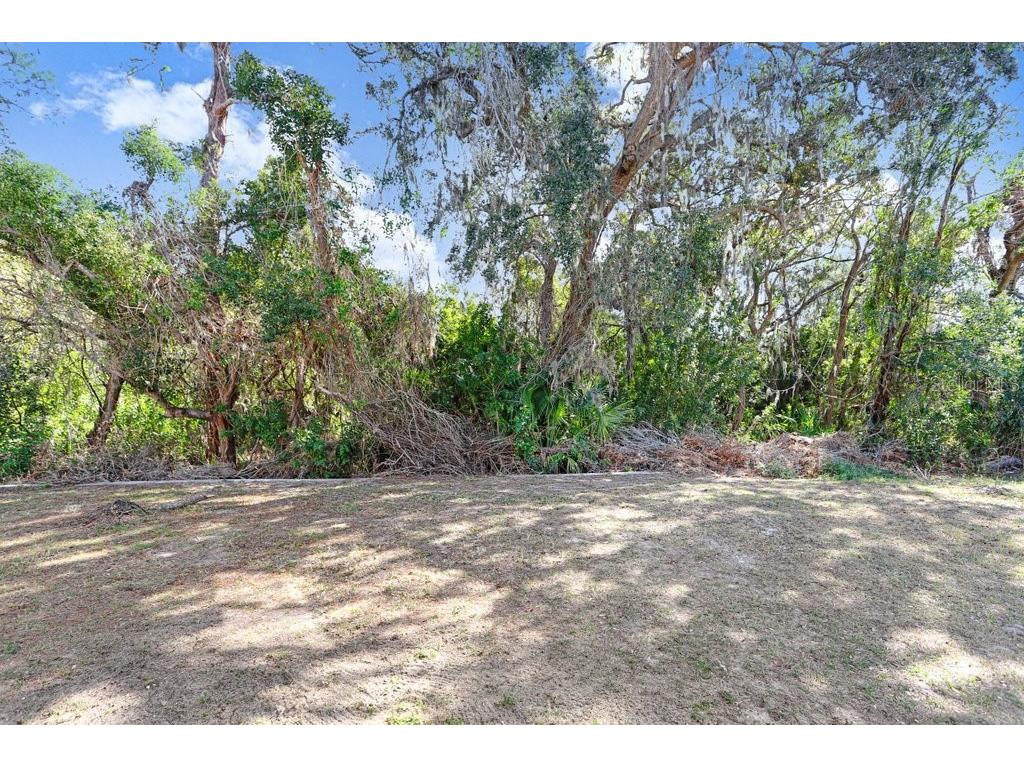 10932 Carlton Fields Drive Riverview FL 33579 TB8472241 image28