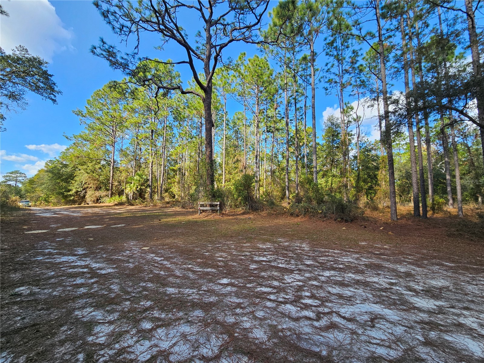 10932 SE 32nd Lane Morriston FL 32668 OM715058 image1