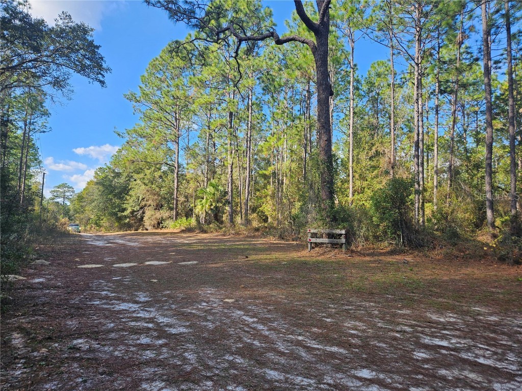 10932 SE 32nd Lane Morriston FL 32668 OM715058 image3