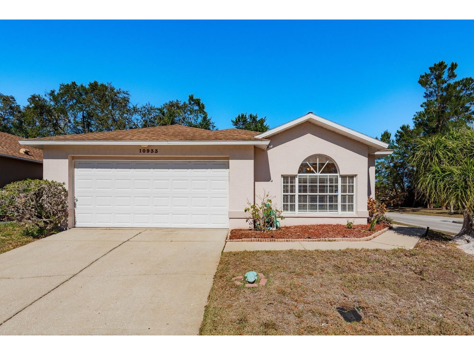 10933 Belmont Drive New Port Richey FL 34654 TB8471963 image1