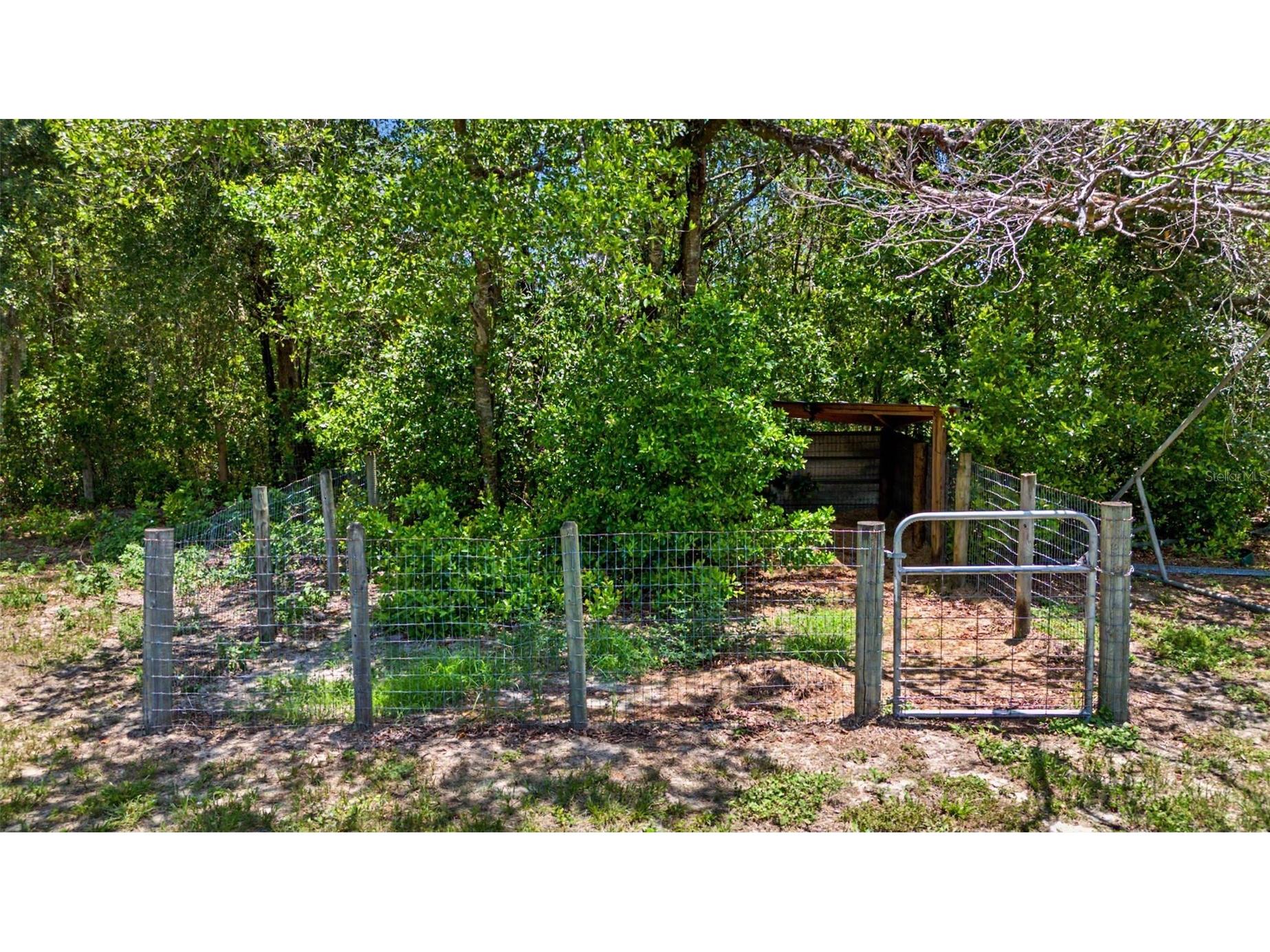 10933 Pinto Drive Hudson FL 34669 TB8511267 image56