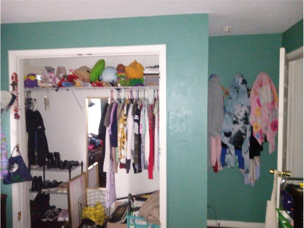 10933 Subtle Trail Drive Riverview FL 33569 TB8347731 image14