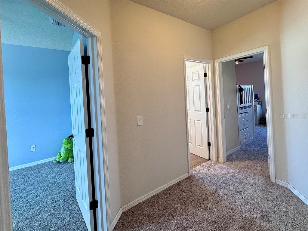 10934 79th Street E Parrish FL 34219 A4648843 image33