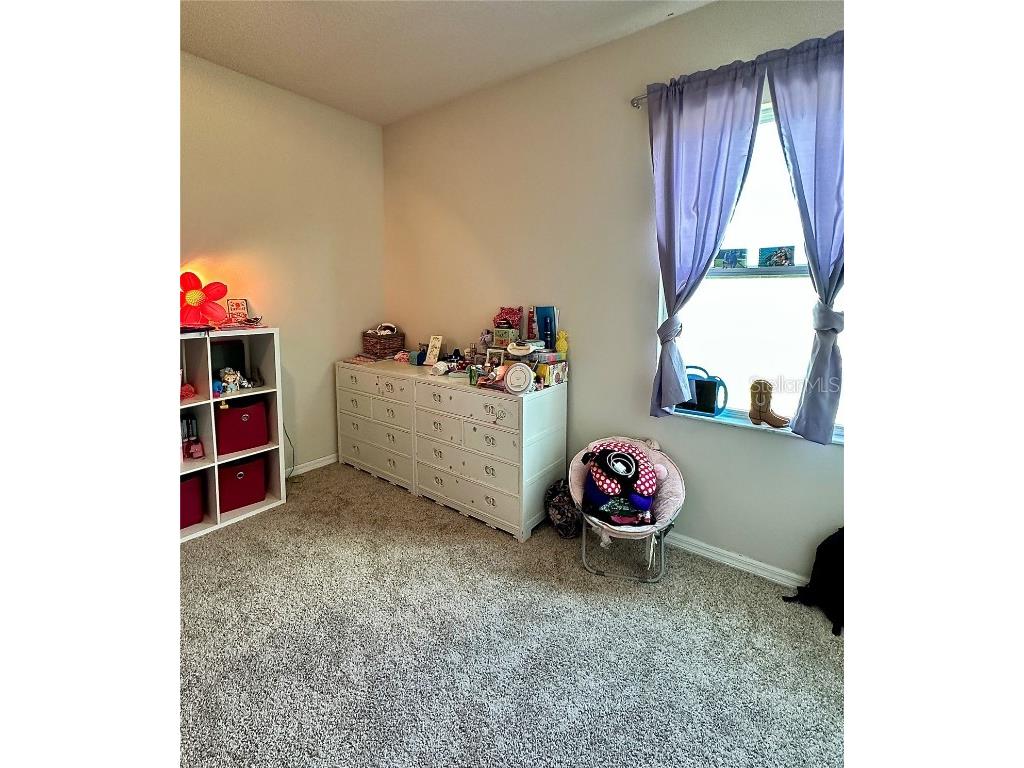 10934 79th Street E Parrish FL 34219 A4648843 image35