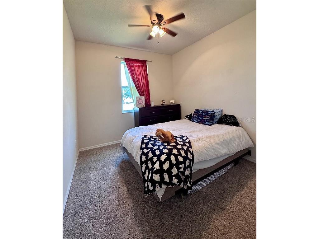 10934 79th Street E Parrish FL 34219 A4648843 image41