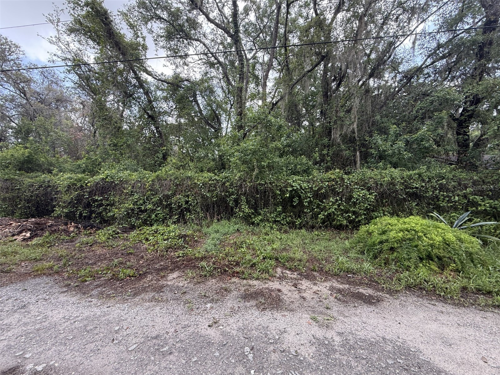 10934 Leon Street New Port Richey FL 34654 W7886172 image1
