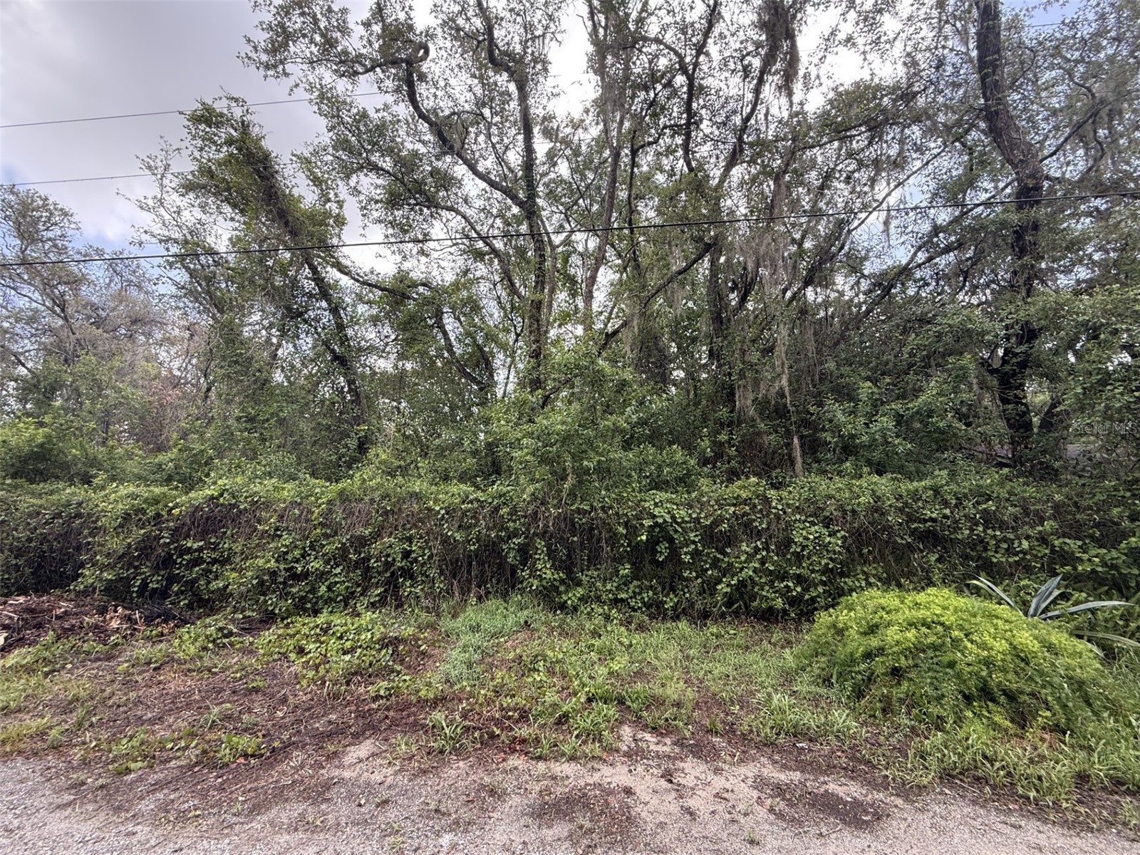 10934 Leon Street New Port Richey FL 34654 W7886172 image3