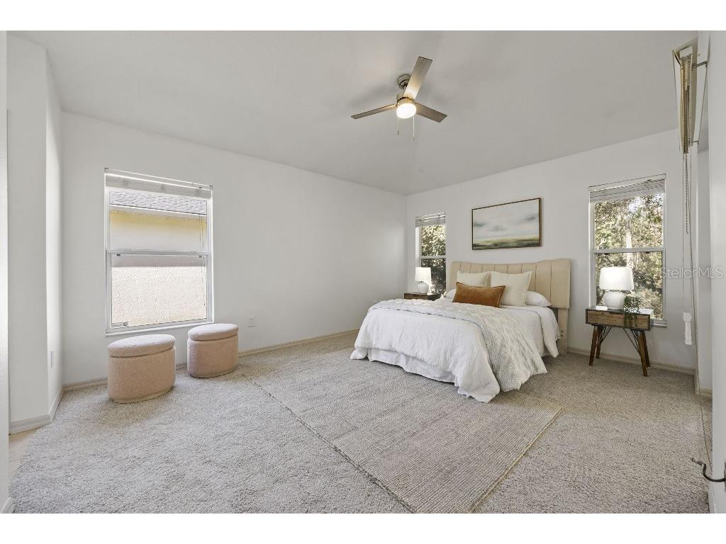 10934 May Apple Court Land O Lakes FL 34638 TB8473381 image18