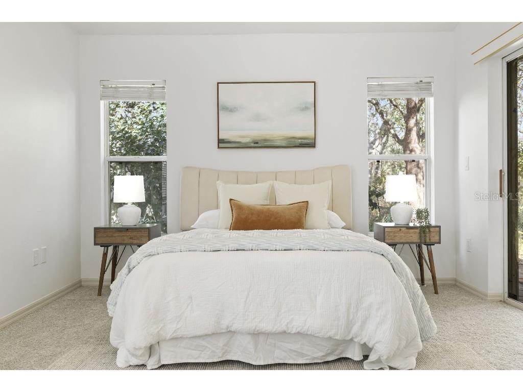 10934 May Apple Court Land O Lakes FL 34638 TB8473381 image20