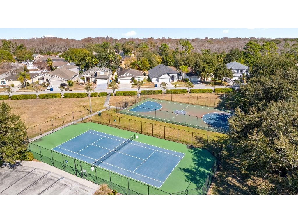 10934 May Apple Court Land O Lakes FL 34638 TB8473381 image32