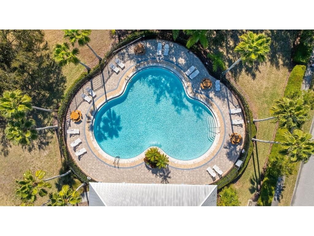 10934 May Apple Court Land O Lakes FL 34638 TB8473381 image34