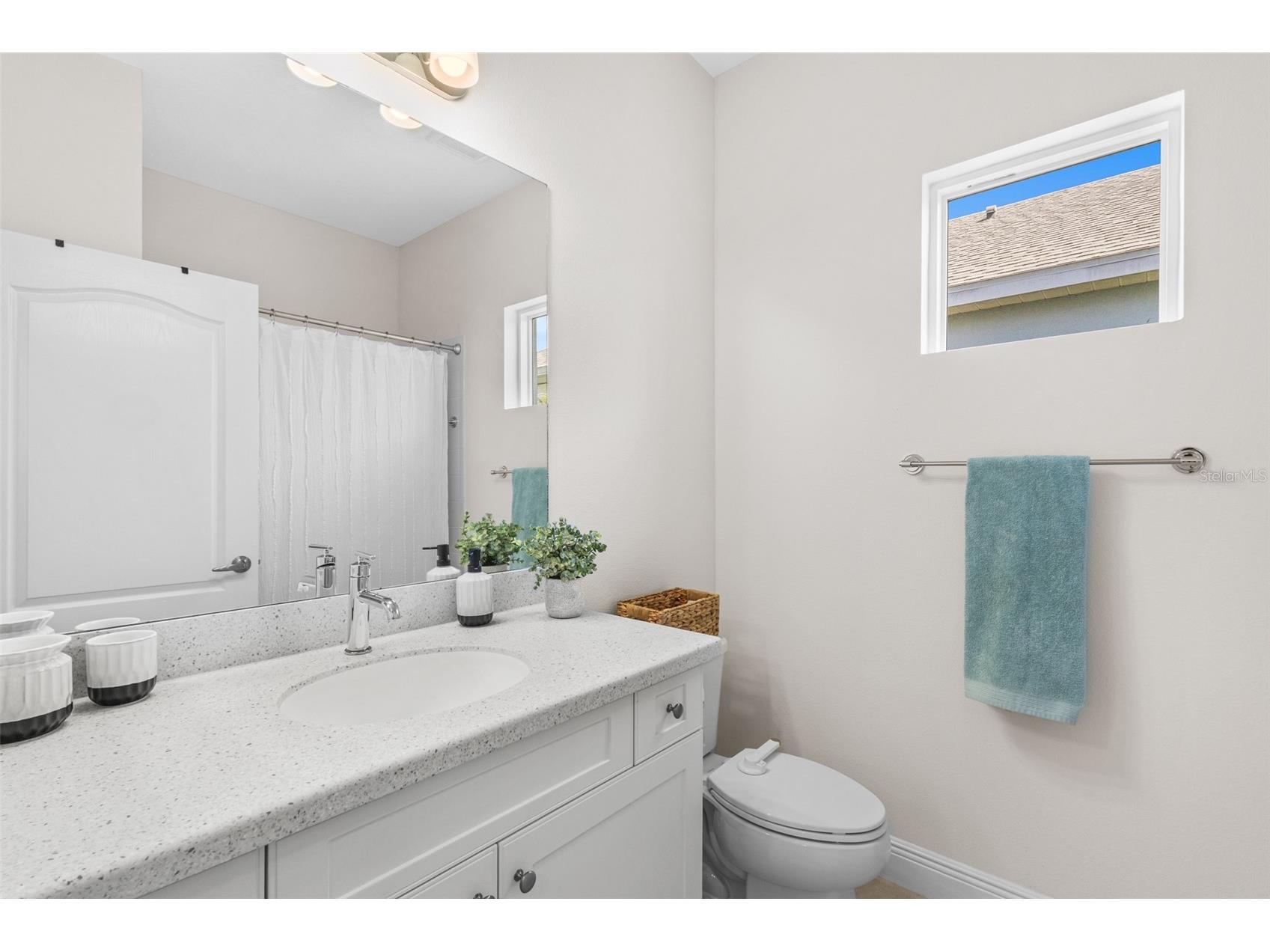 10934 Sand Pine Lane Parrish FL 34219 A4683906 image41