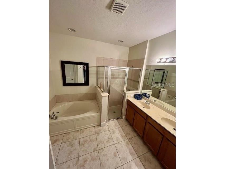 10934 Savannah Landing Circle Orlando FL 32832 O6395579 image6