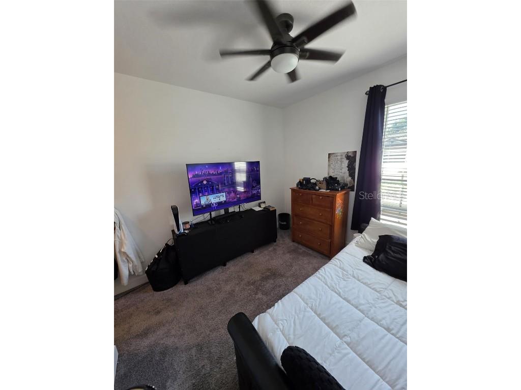 10934 Wendover Drive Palmetto FL 34221 TB8432866 image33