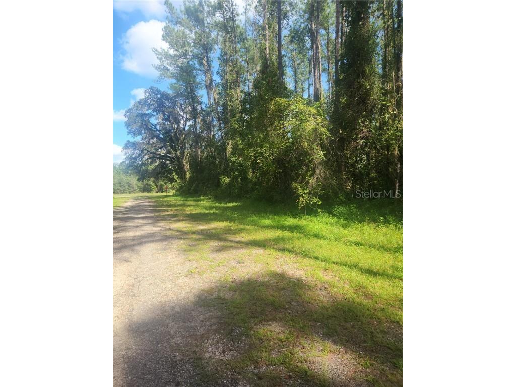 1094 E Vercelli Avenue Citrus Springs FL 34434 OM664889 image1