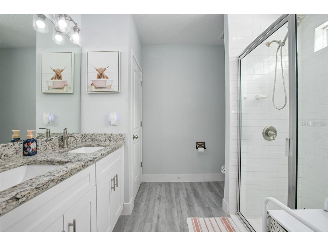 1094 Lolita Street Orange City FL 32763 V4943291 image21