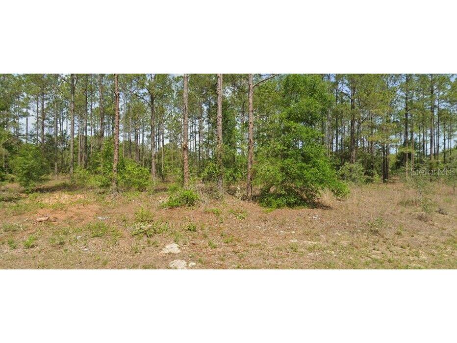 10940 N Letterwood Way Dunnellon FL 34434 O6303546 image1