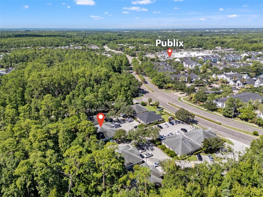 10941 Countryway Boulevard Tampa FL 33626 TB8411711 image32