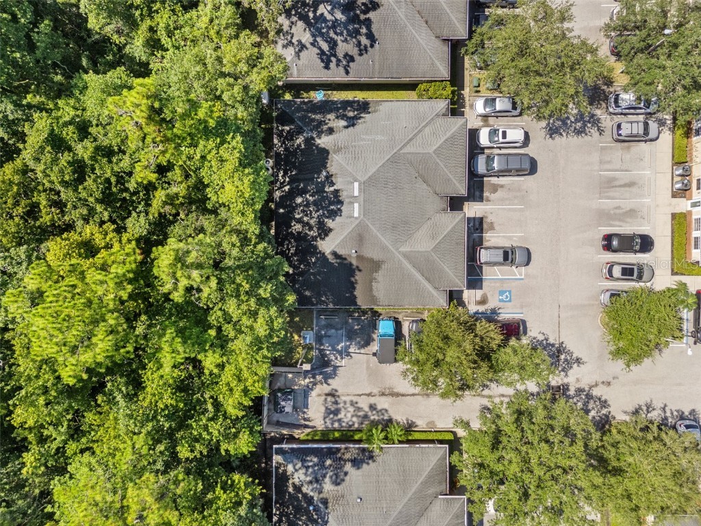 10941 Countryway Boulevard Tampa FL 33626 TB8411711 image35