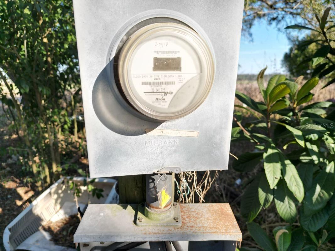 10942 Singletary Road Dade City FL 33525 TB8473021 image10