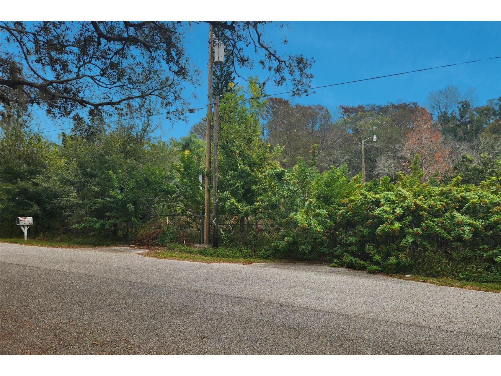 10944 & 10948 Echo Loop New Port Richey FL 34654 W7881284 image1