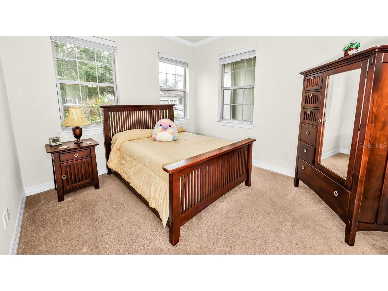 10944 Citron Oaks Drive Orlando FL 32836 O6398261 image28
