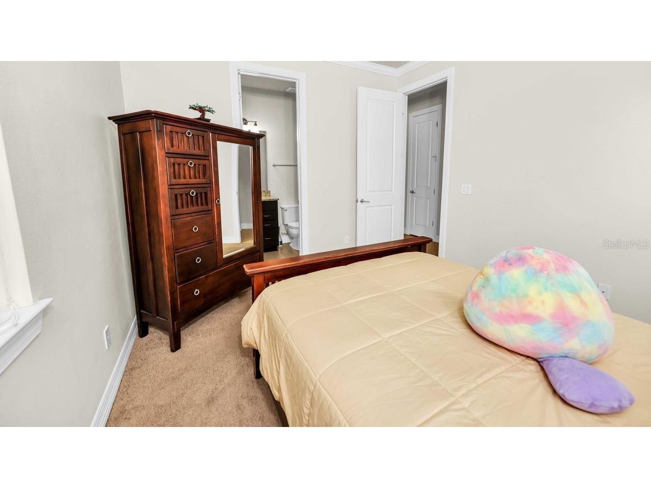 10944 Citron Oaks Drive Orlando FL 32836 O6398261 image29