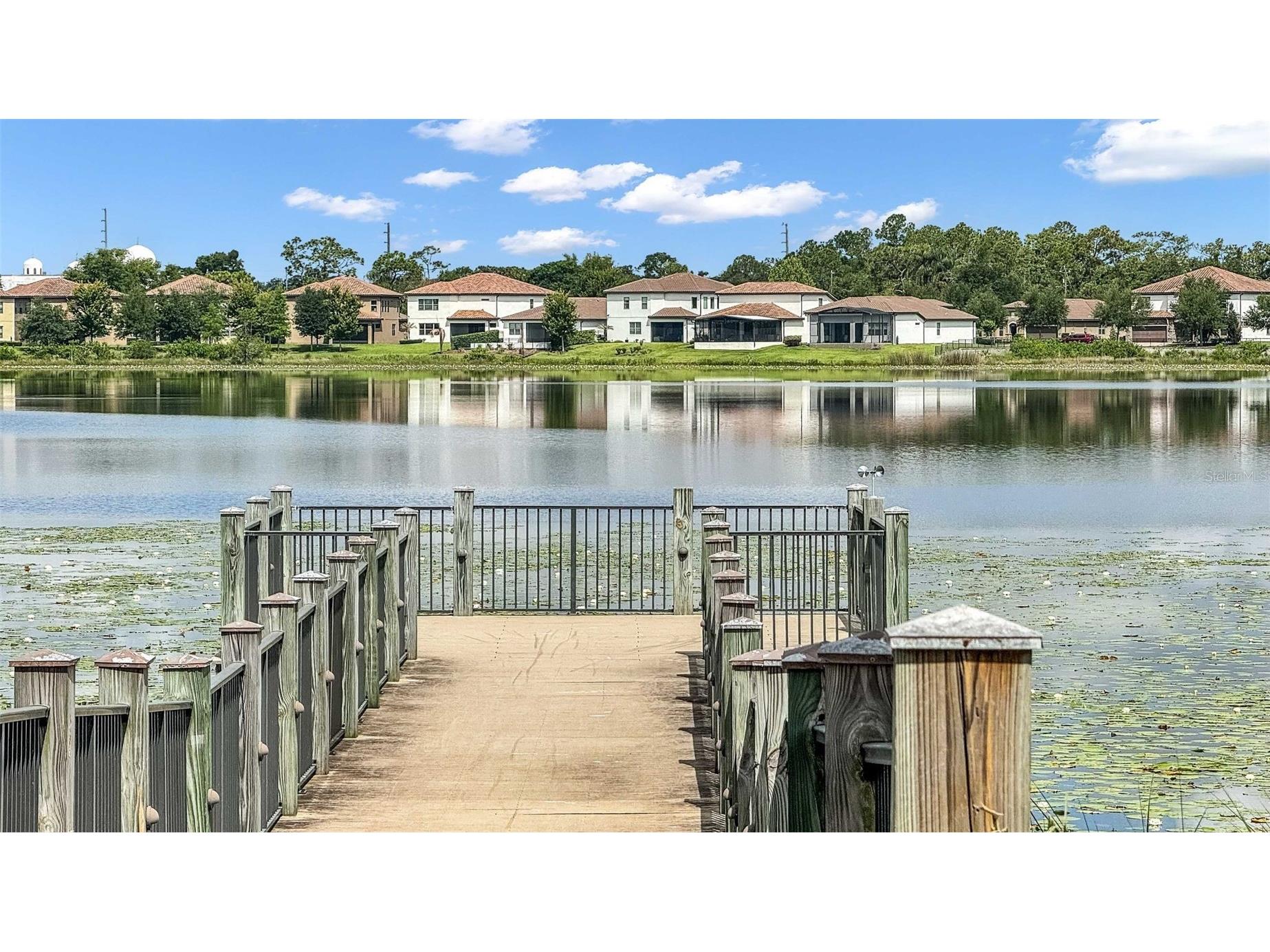 10944 Citron Oaks Drive Orlando FL 32836 O6398261 image43
