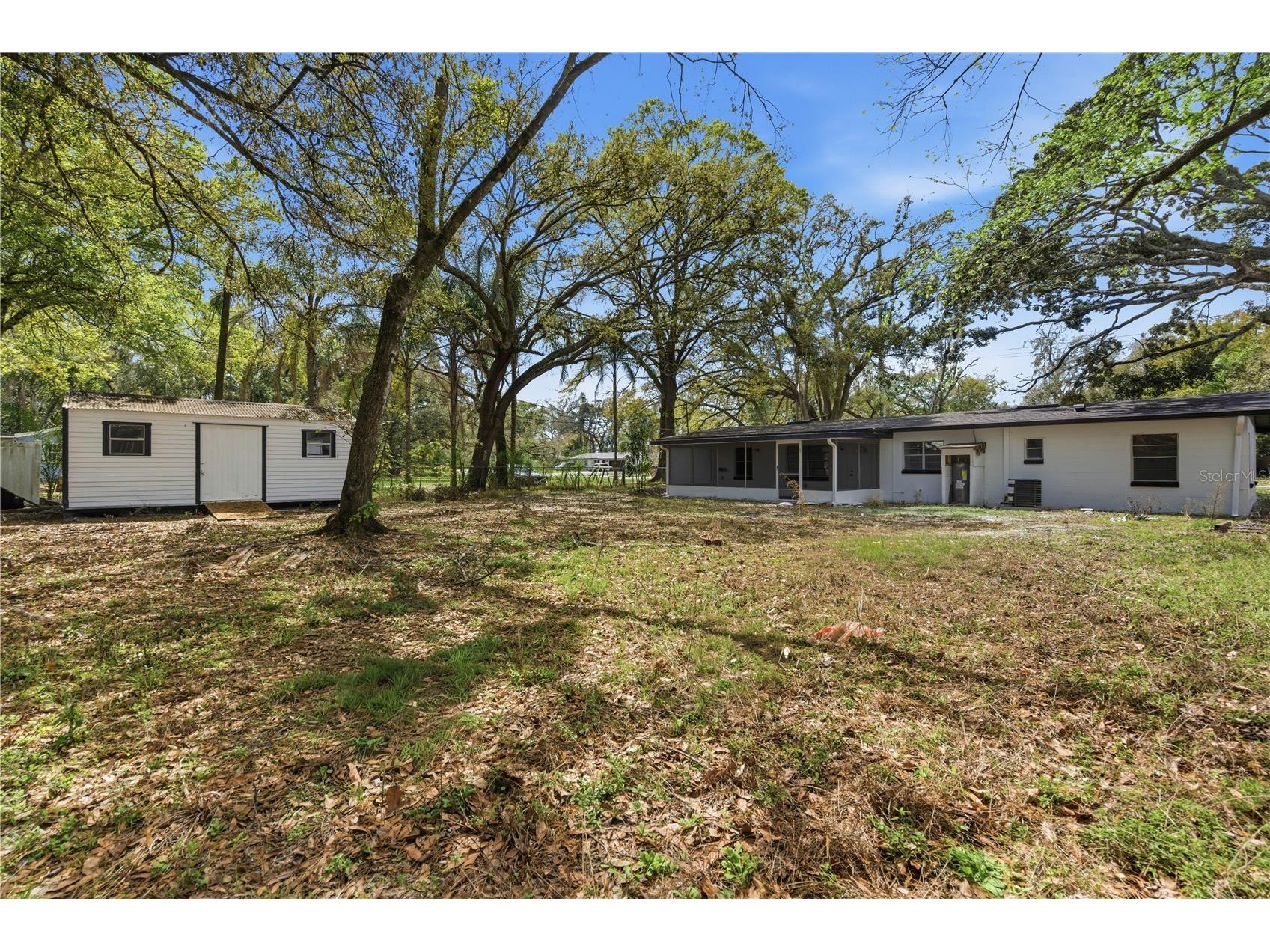 10945 N Boulevard Tampa FL 33612 O6423083 image11