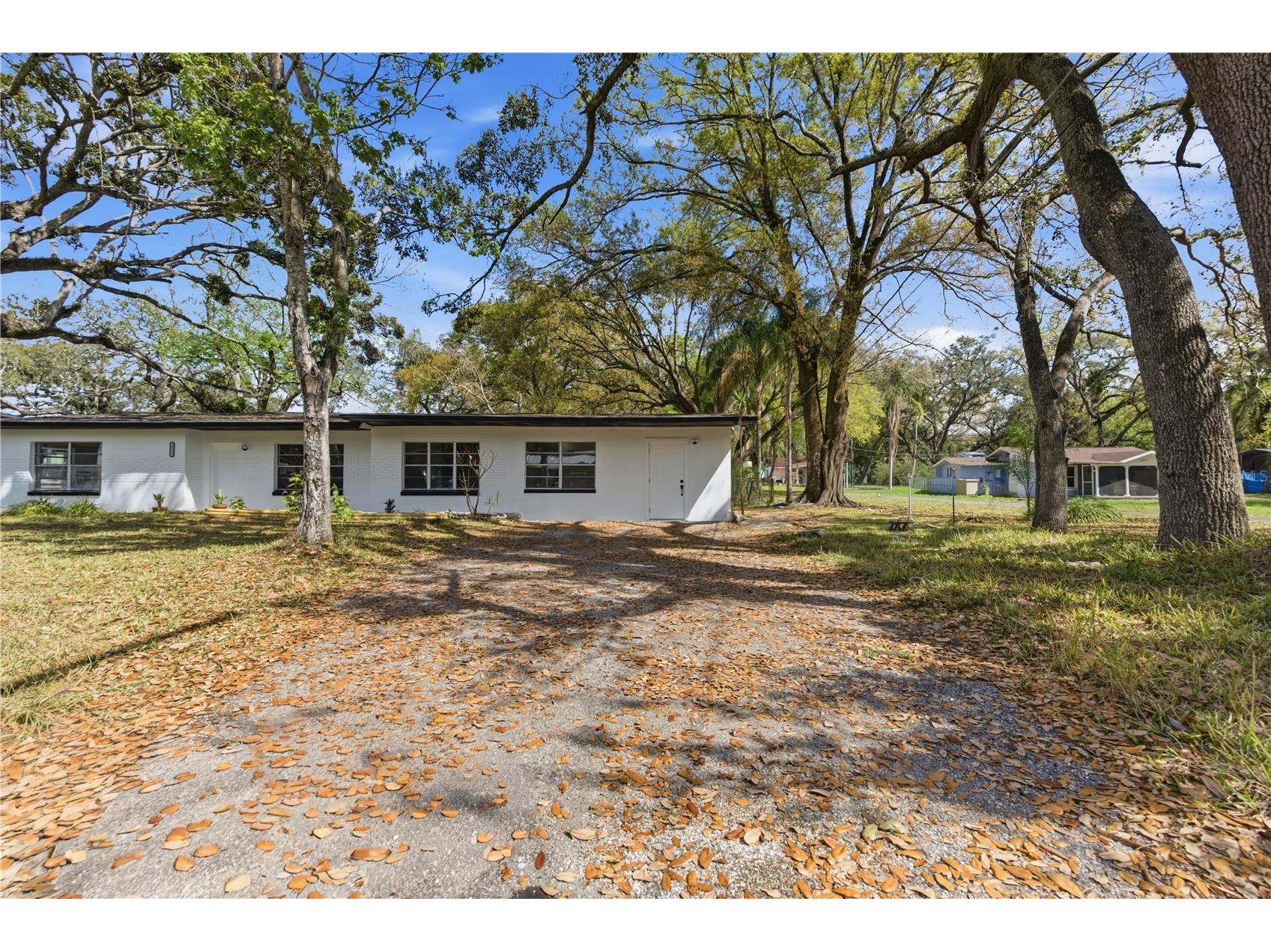 10945 N Boulevard Tampa FL 33612 O6423083 image6