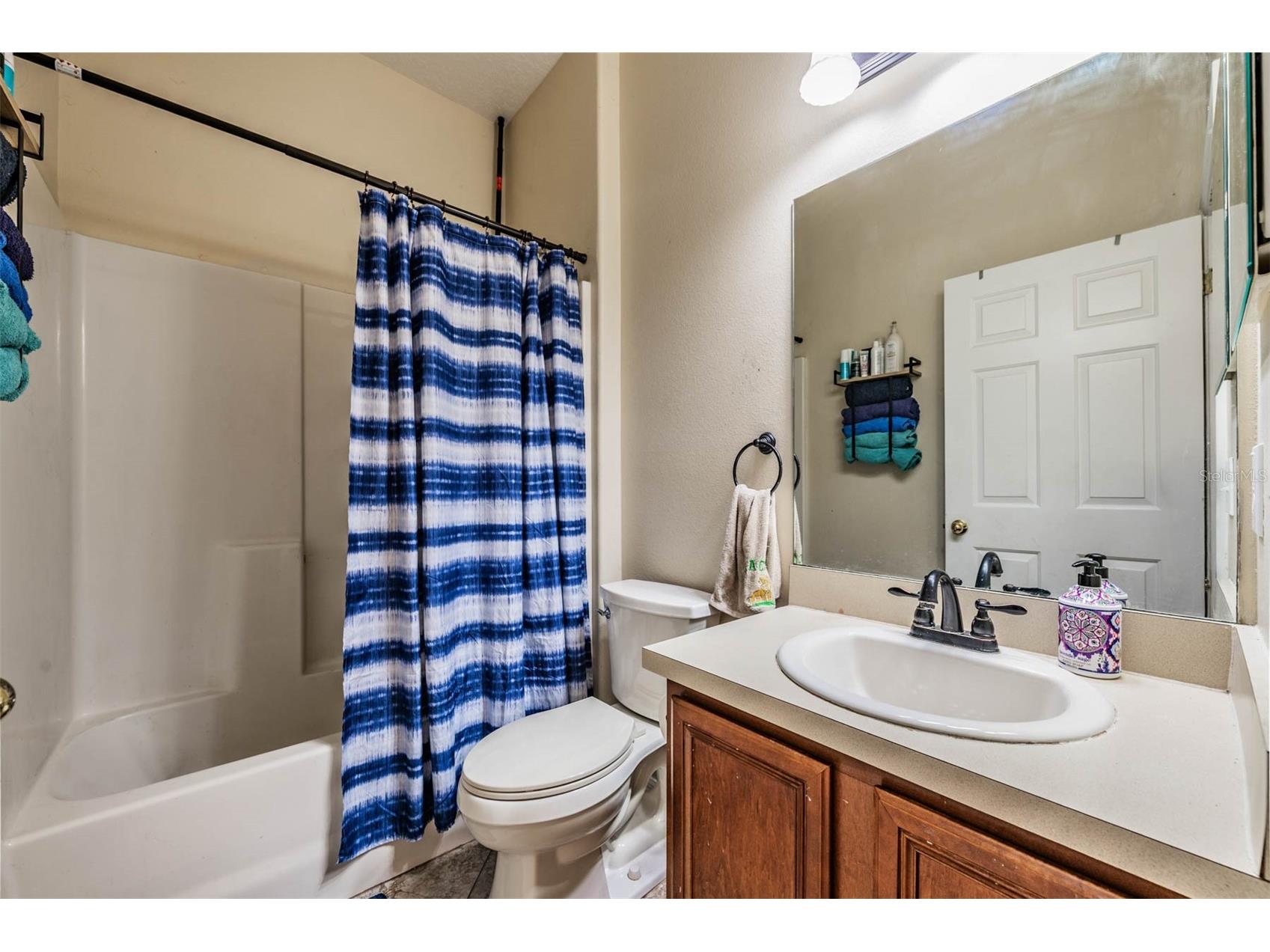 10945 Subtle Trail Drive Riverview FL 33569 TB8502390 image28