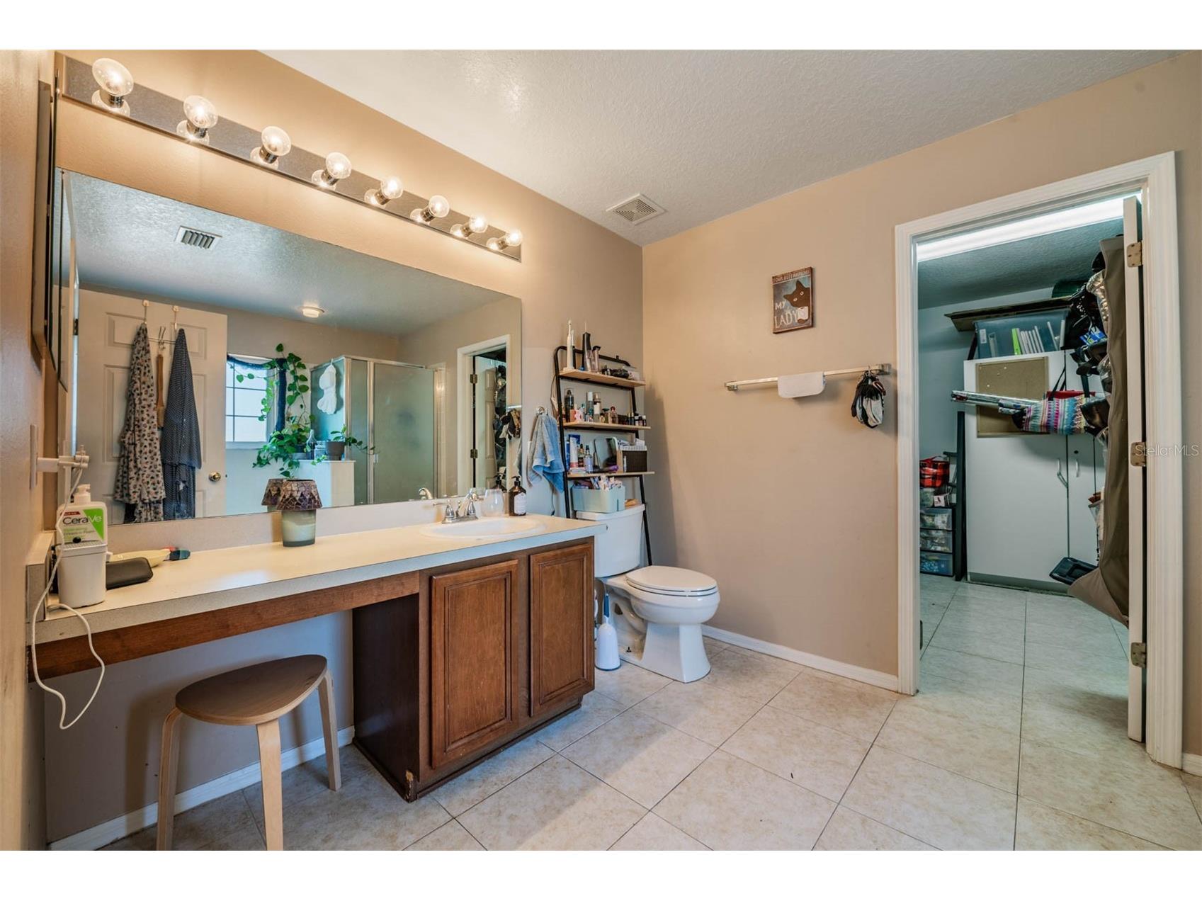 10945 Subtle Trail Drive Riverview FL 33569 TB8502390 image32