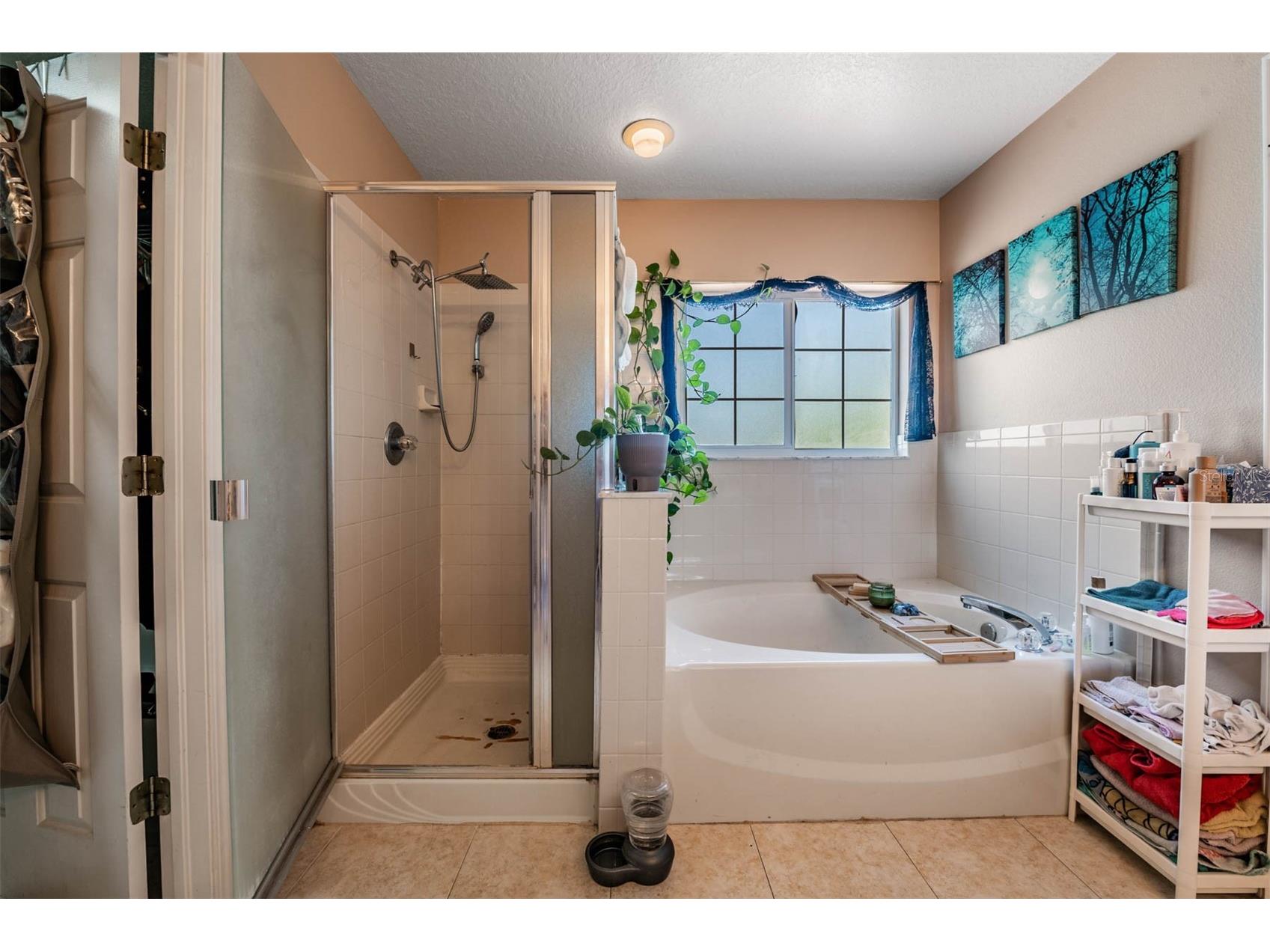 10945 Subtle Trail Drive Riverview FL 33569 TB8502390 image33