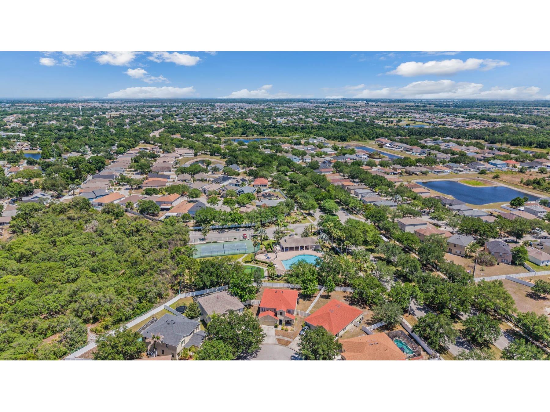 10945 Subtle Trail Drive Riverview FL 33569 TB8502390 image42