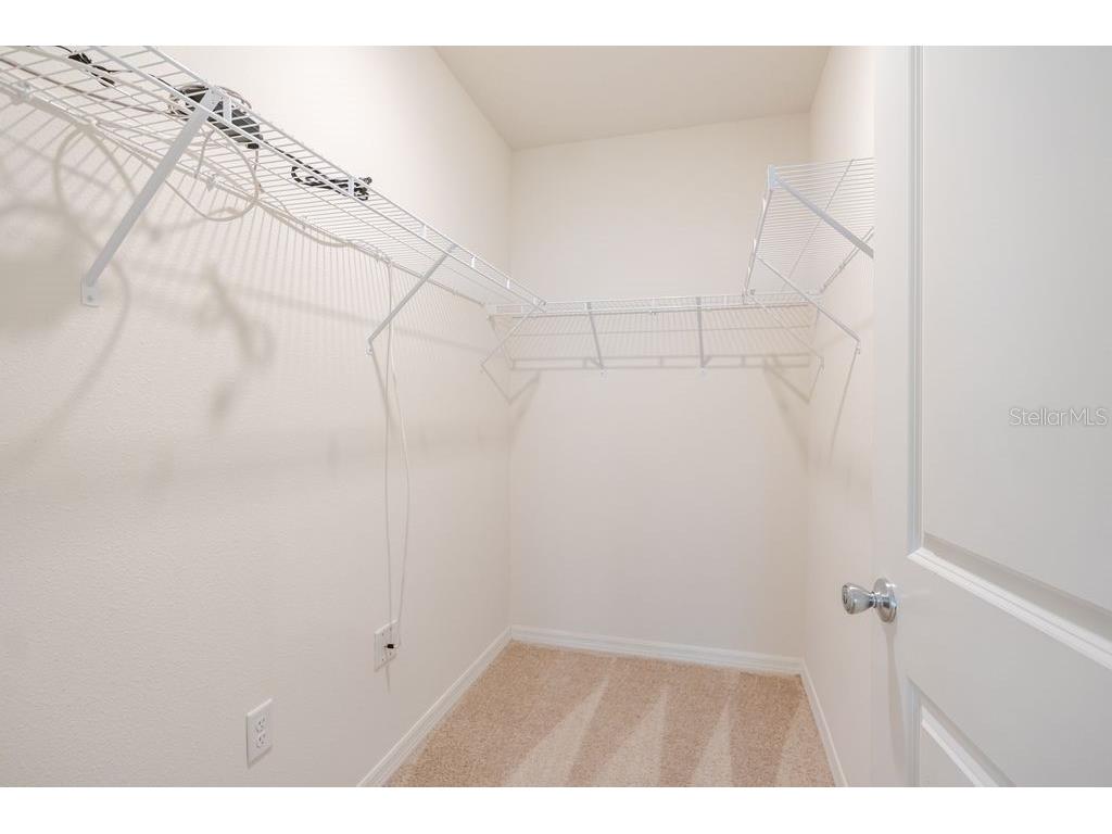 10945 Trailing Vine Drive Tampa FL 33610 TB8445078 image24