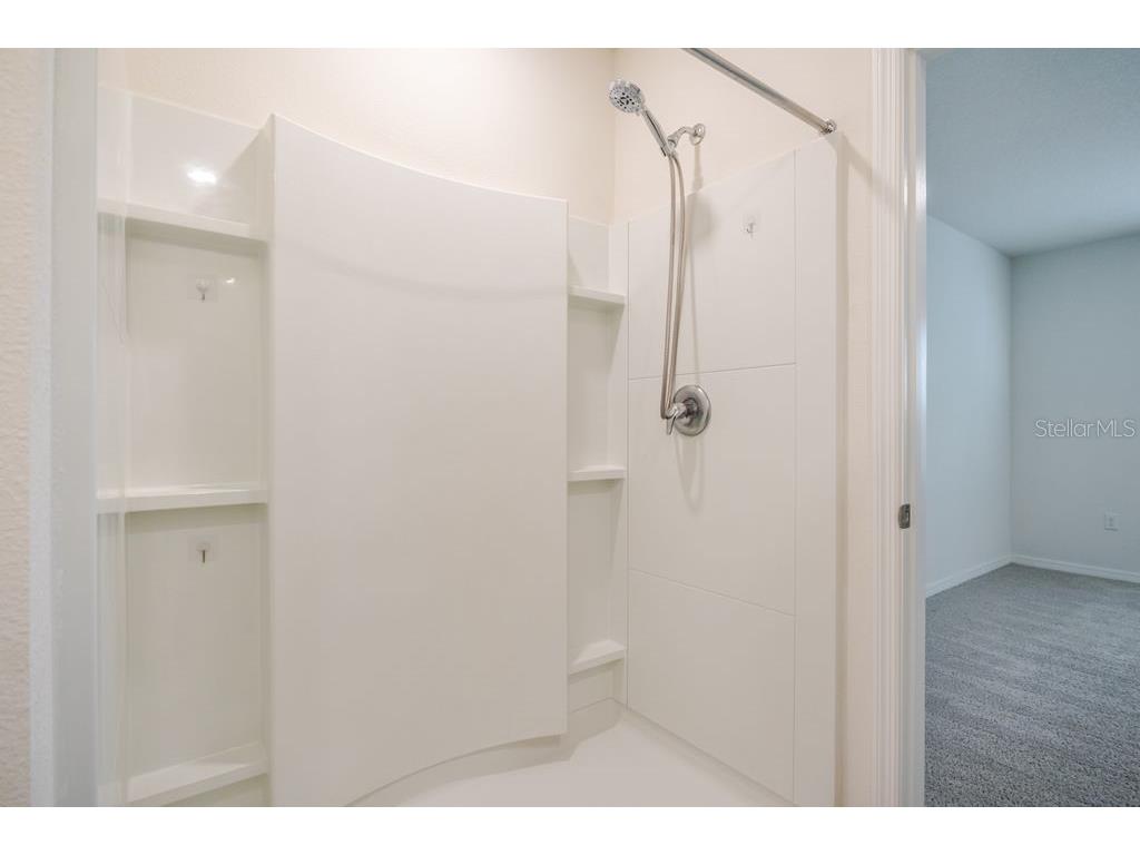 10945 Trailing Vine Drive Tampa FL 33610 TB8445078 image25