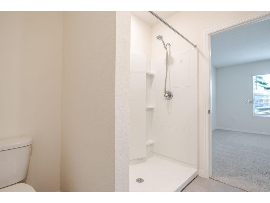 10945 Trailing Vine Drive Tampa FL 33610 TB8445078 image26