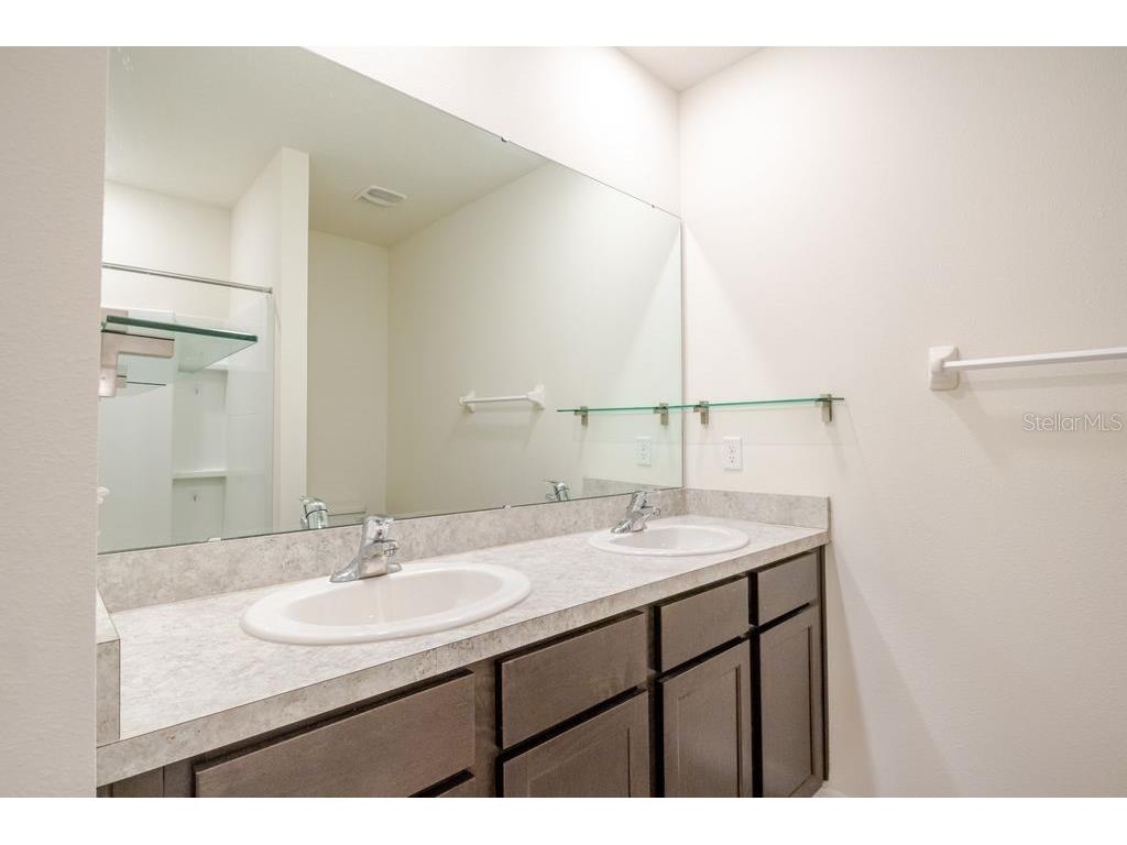 10945 Trailing Vine Drive Tampa FL 33610 TB8445078 image27