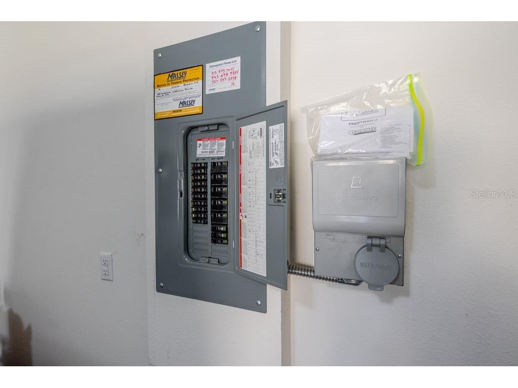 10945 Trailing Vine Drive Tampa FL 33610 TB8445078 image29