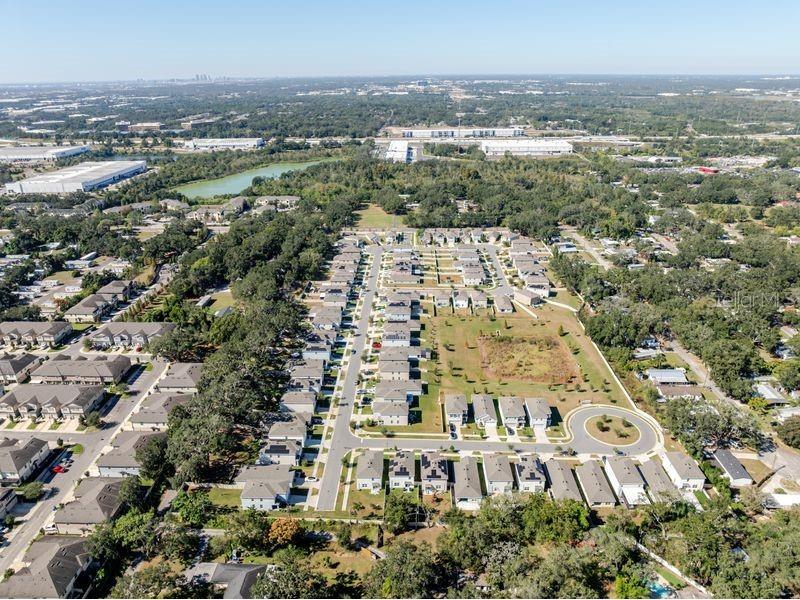10945 Trailing Vine Drive Tampa FL 33610 TB8445078 image38