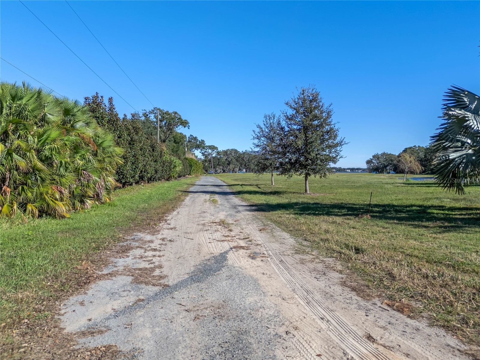 10948 Down Park Lane Windermere FL 34786 O6389820 image21