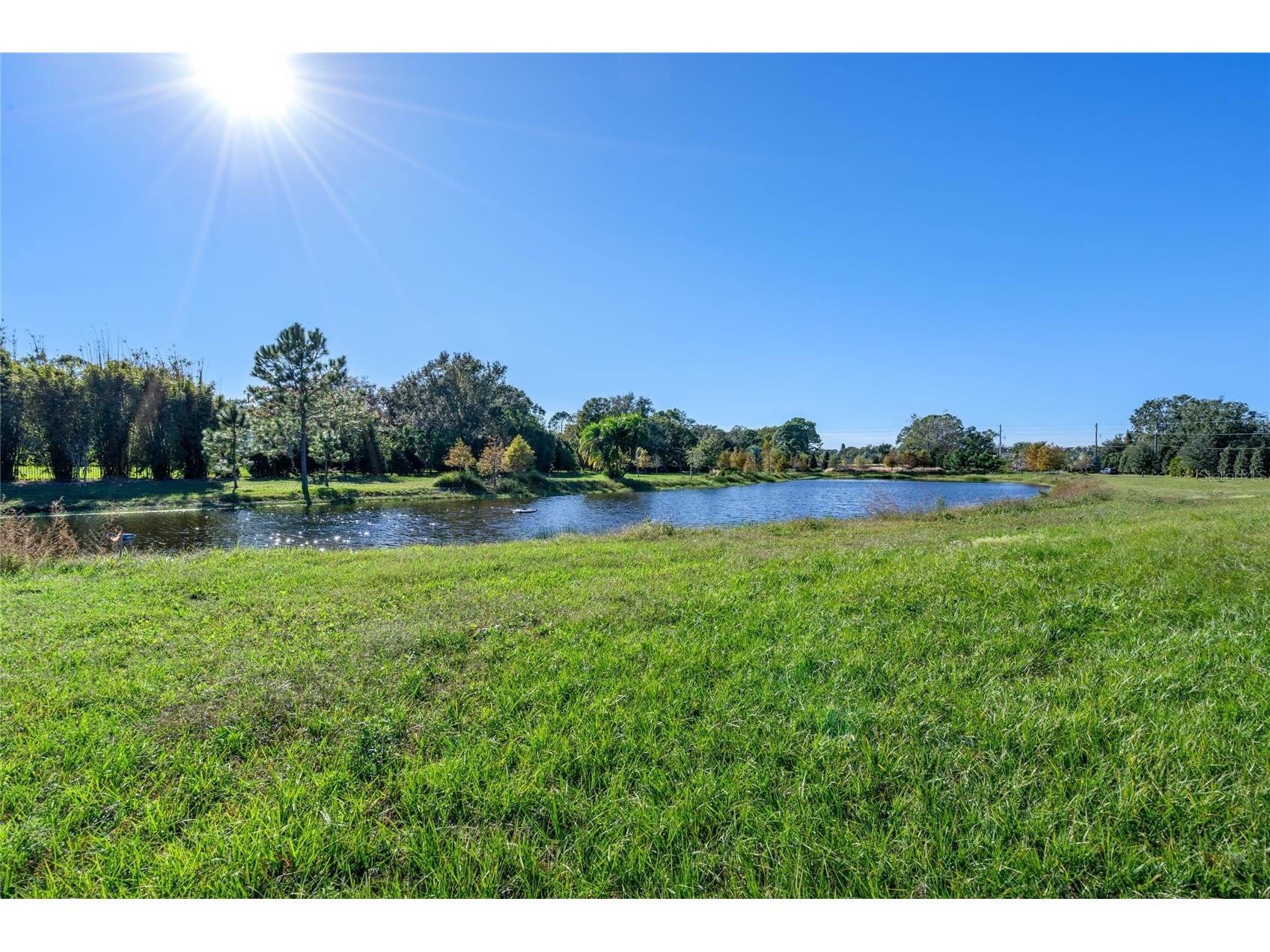10948 Down Park Lane Windermere FL 34786 O6389820 image26
