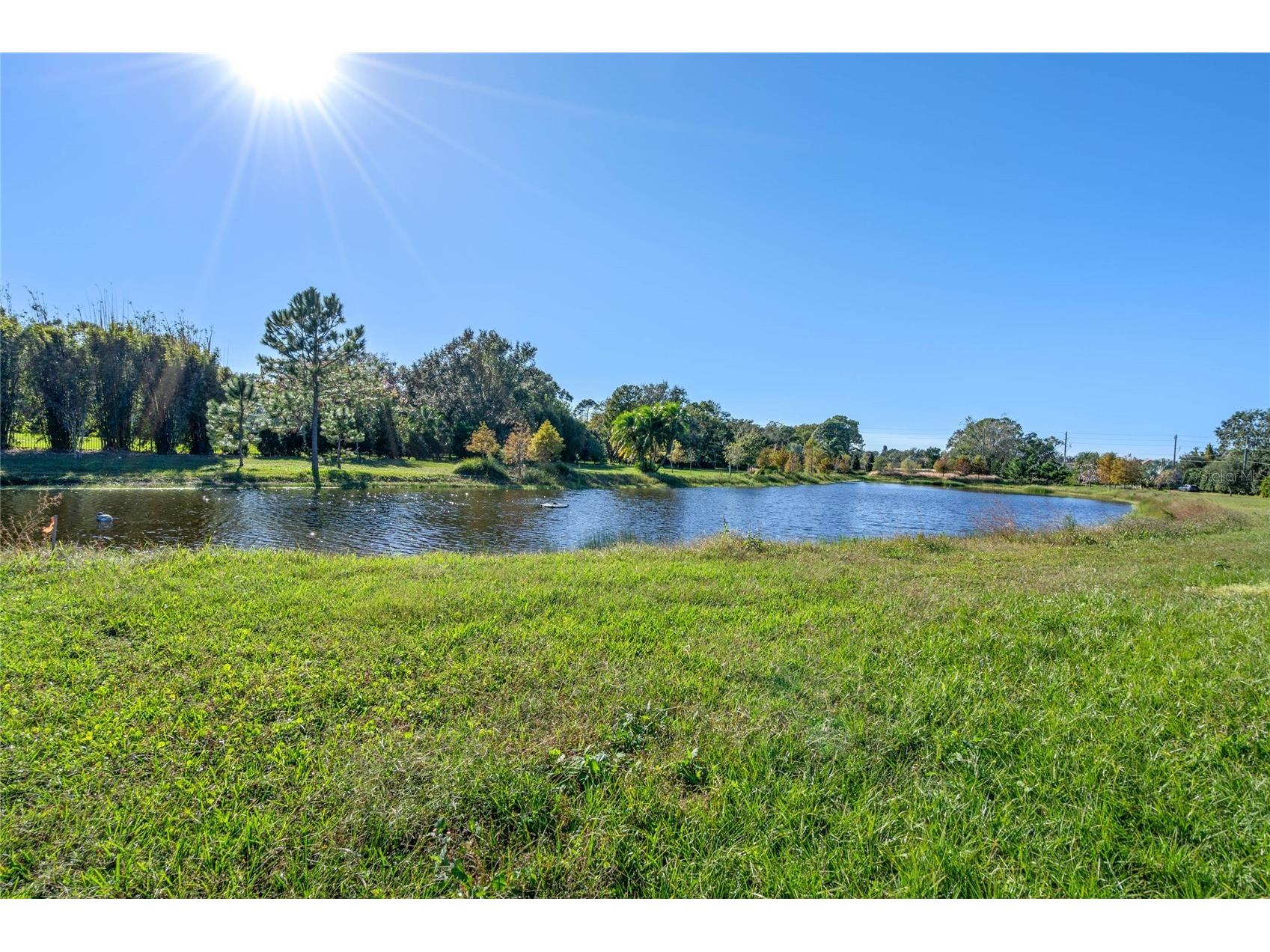 10948 Down Park Lane Windermere FL 34786 O6389820 image28