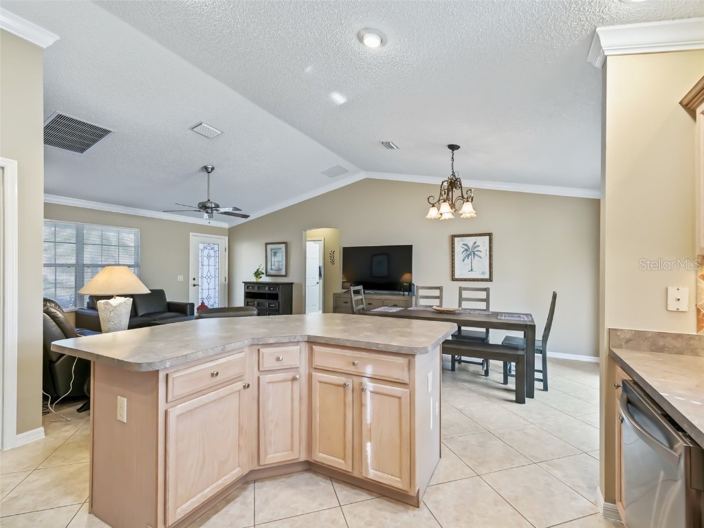 1095 Blythe Way The Villages FL 32162 OM704890 image8