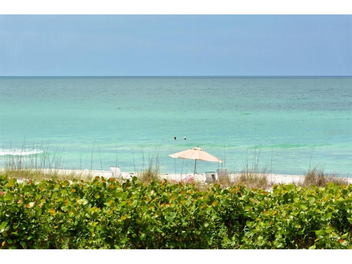 1095 Gulf Of Mexico Drive #502 Longboat Key FL 34228 - GULF OF MEXICO A4674457 image59
