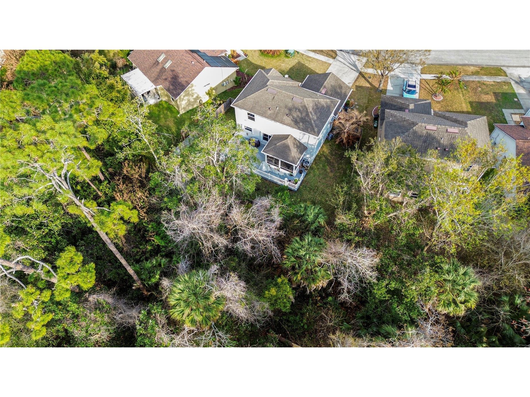 1095 Horizon View Boulevard Port Orange FL 32129 S5144681 image39