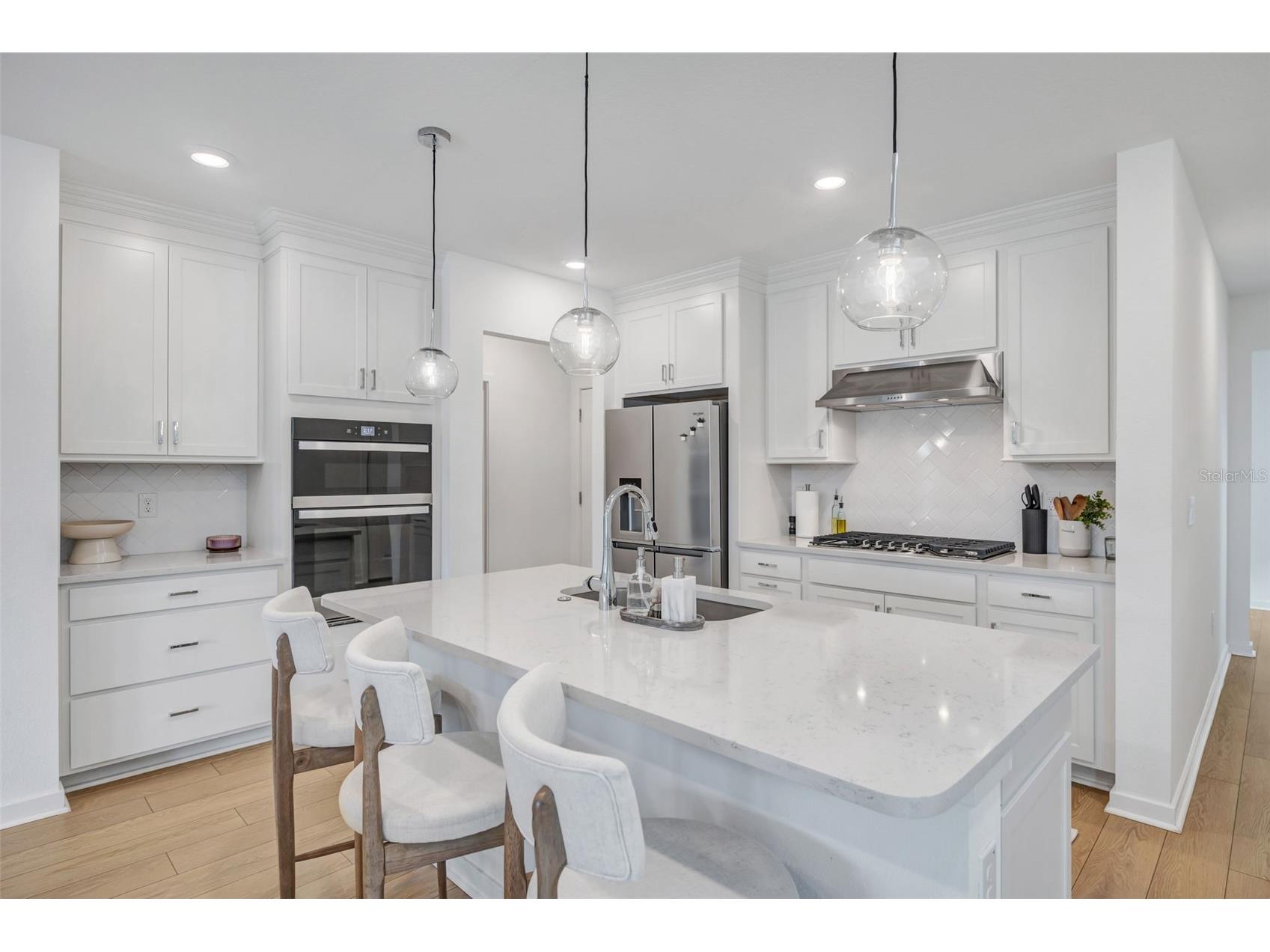 1095 Kistna Drive Zephyrhills FL 33540 TB8469345 image11